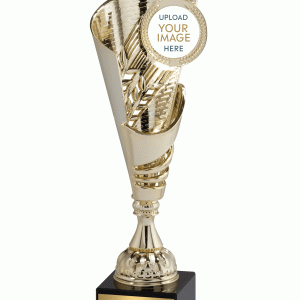 拋光金藤定制插入杯