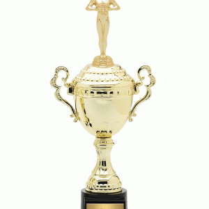 冠軍盃獎杯