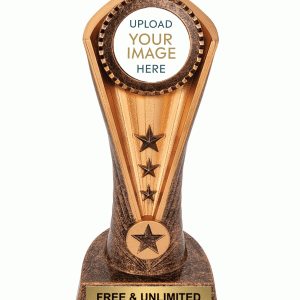 眼鏡蛇定制插入獎