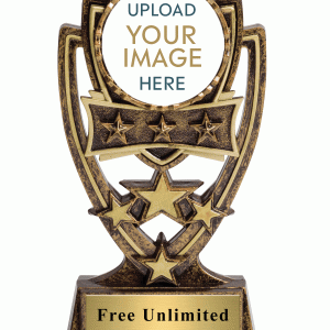 四星級定制插入獎杯