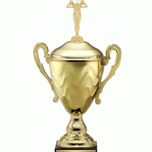 金色金屬杯配圖