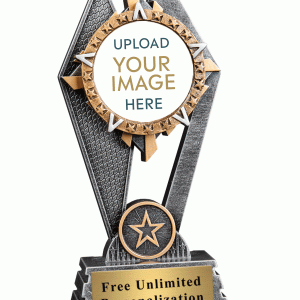 Sun Ray 定制插件獎